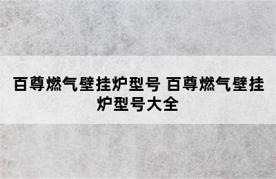 百尊燃气壁挂炉型号 百尊燃气壁挂炉型号大全